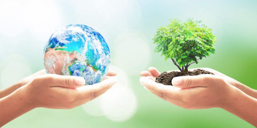 Ecología: Comprendiendo y Preservando Nuestra Relación con la Naturaleza: Kartha