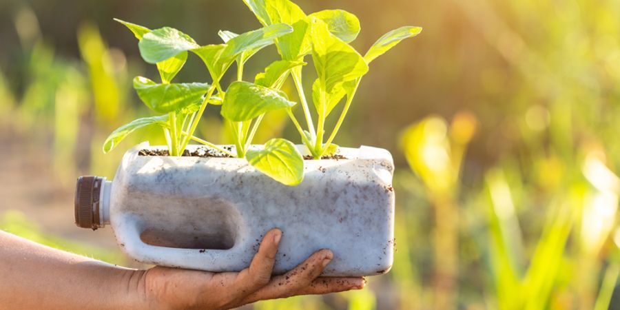 Reusar: Redescubriendo la Importancia de Dar Nueva Vida a las Cosa