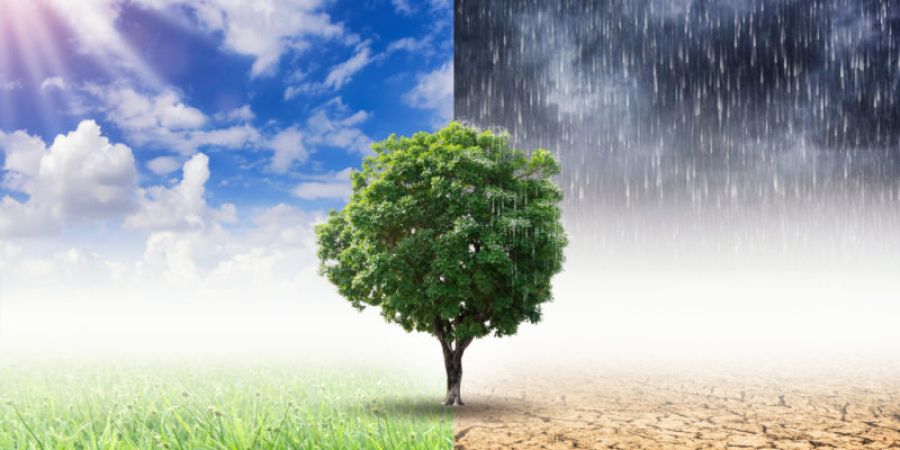 El Cambio Climático en México: Desafíos y Oportunidades
