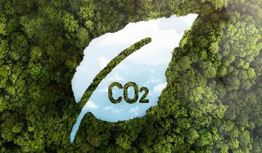 La Huella de Carbono: Comprender y Reducir Nuestro Impacto Ambiental: KARTHA