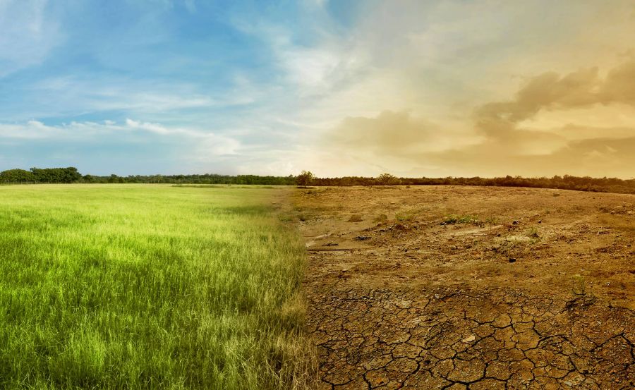 Calentamiento Global: Un Desafío Global que Requiere Acción Inmediata: Kartha
