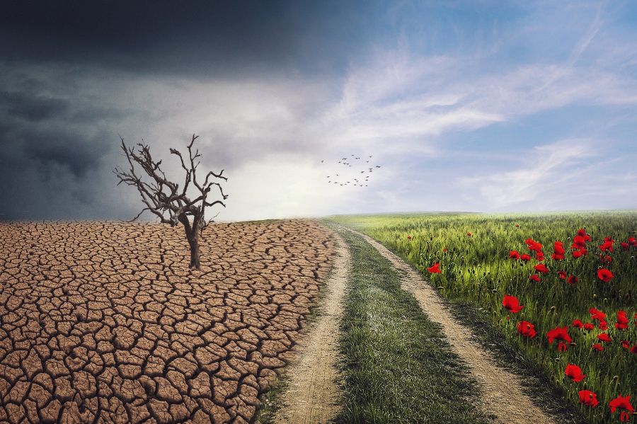  Cambio climático: una amenaza global: Kartha