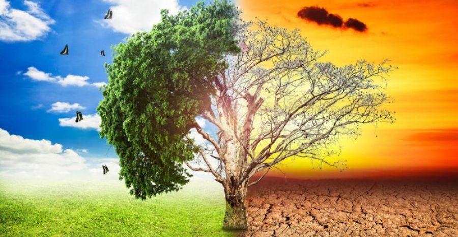 Calentamiento Global y Empresas: Desafíos y Oportunidades para un Futuro Sostenible: Kartha