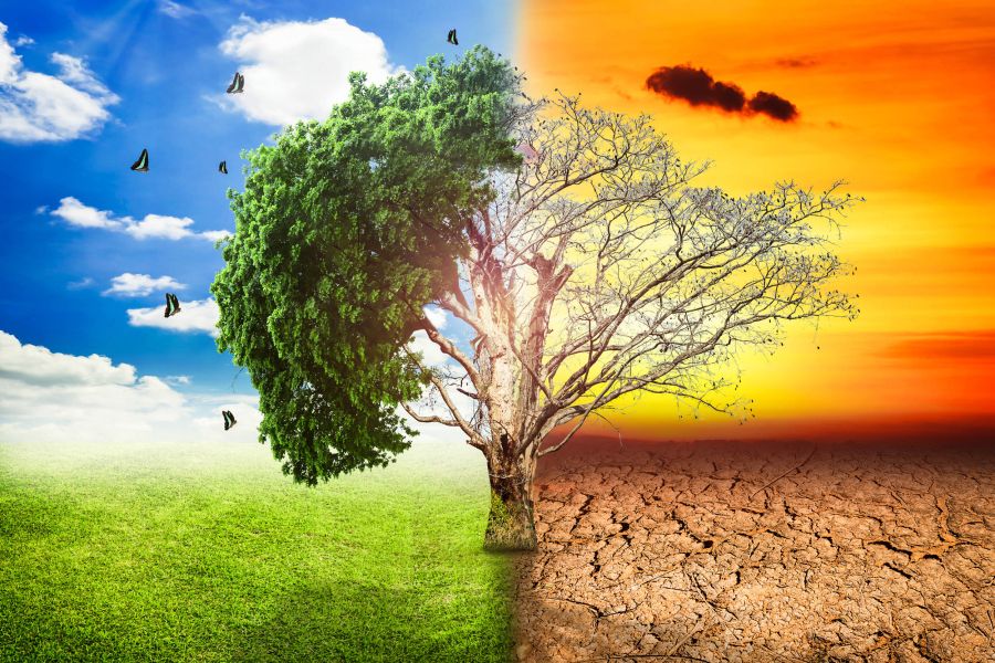 El Calentamiento Global: Desafío Global Requiere Acción Colectiva: Kartha