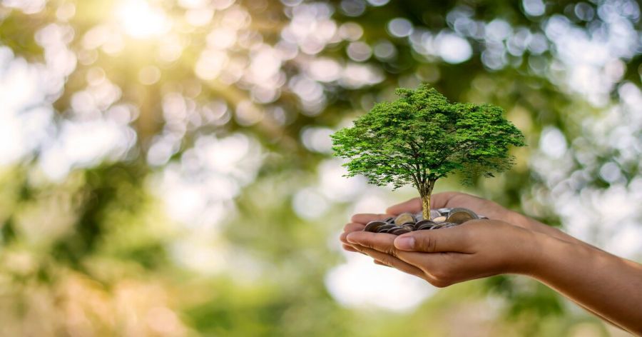 Sostenibilidad Ambiental: Construyendo un Futuro Más Verde: Kartha