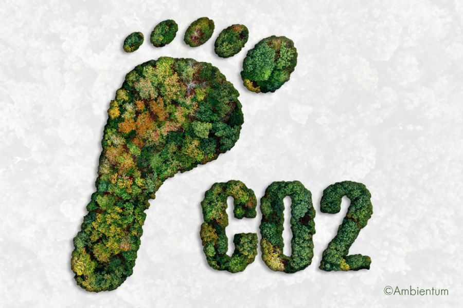 La Huella de Ozono: Comprender su Impacto en el Medio Ambiente y la Salud Global: Kartha